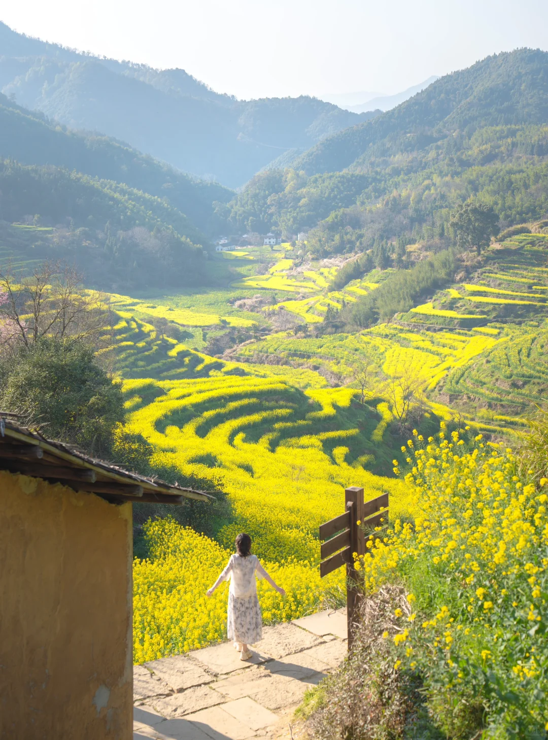 Live实况‼篁岭的春天美到封神！没有平替