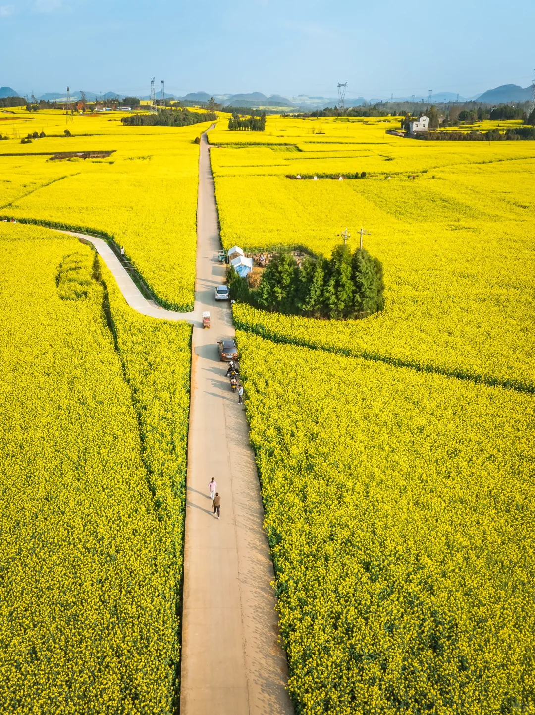 🌼云南罗平的三月，如同闯入画中