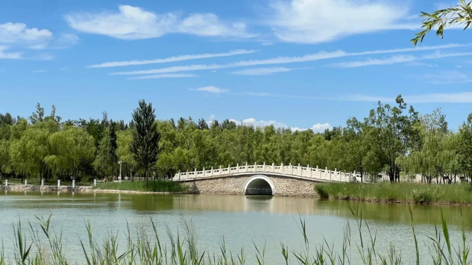 神泉——沙漠与绿洲的奇幻之旅🌵🐫