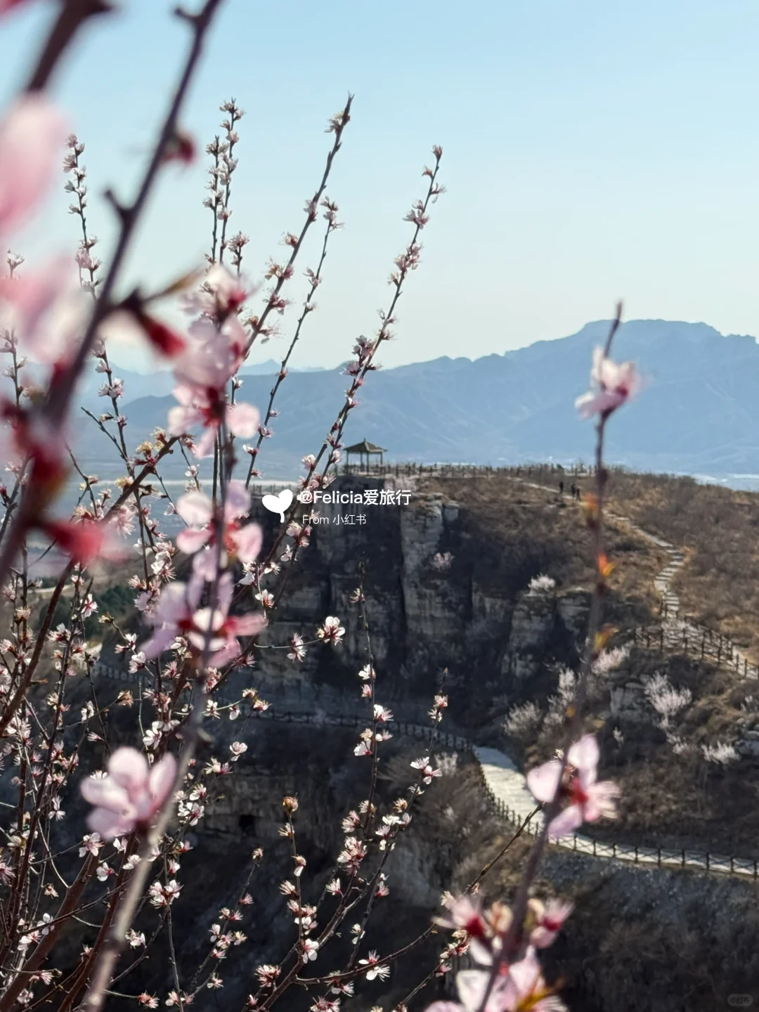 北京中山寺 | 山寺桃花始盛开🌸徒步赏花💯