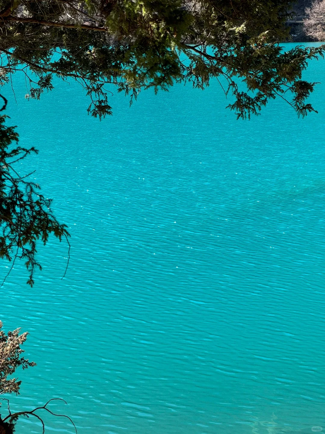 3.28📍淡季九寨沟已回，附游玩时间线