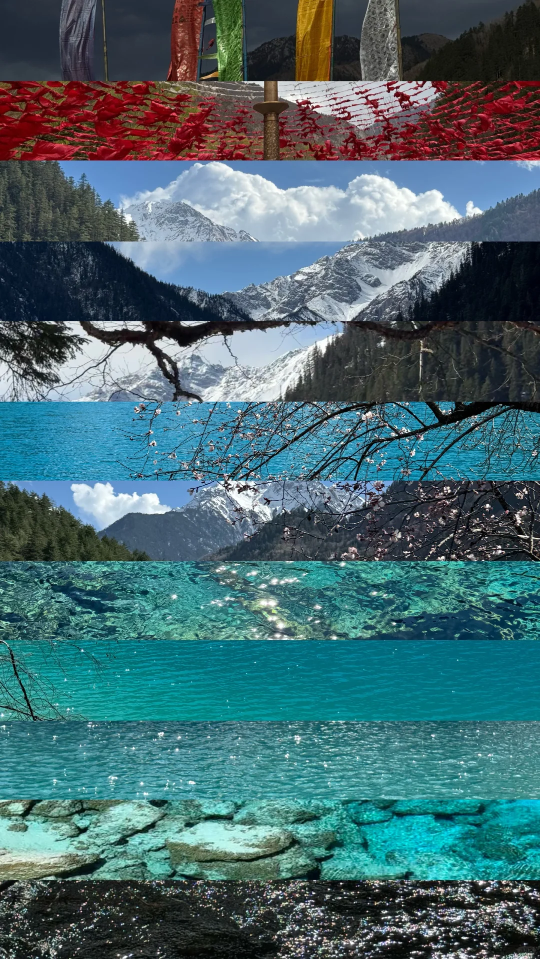 你一句青春没有售价…