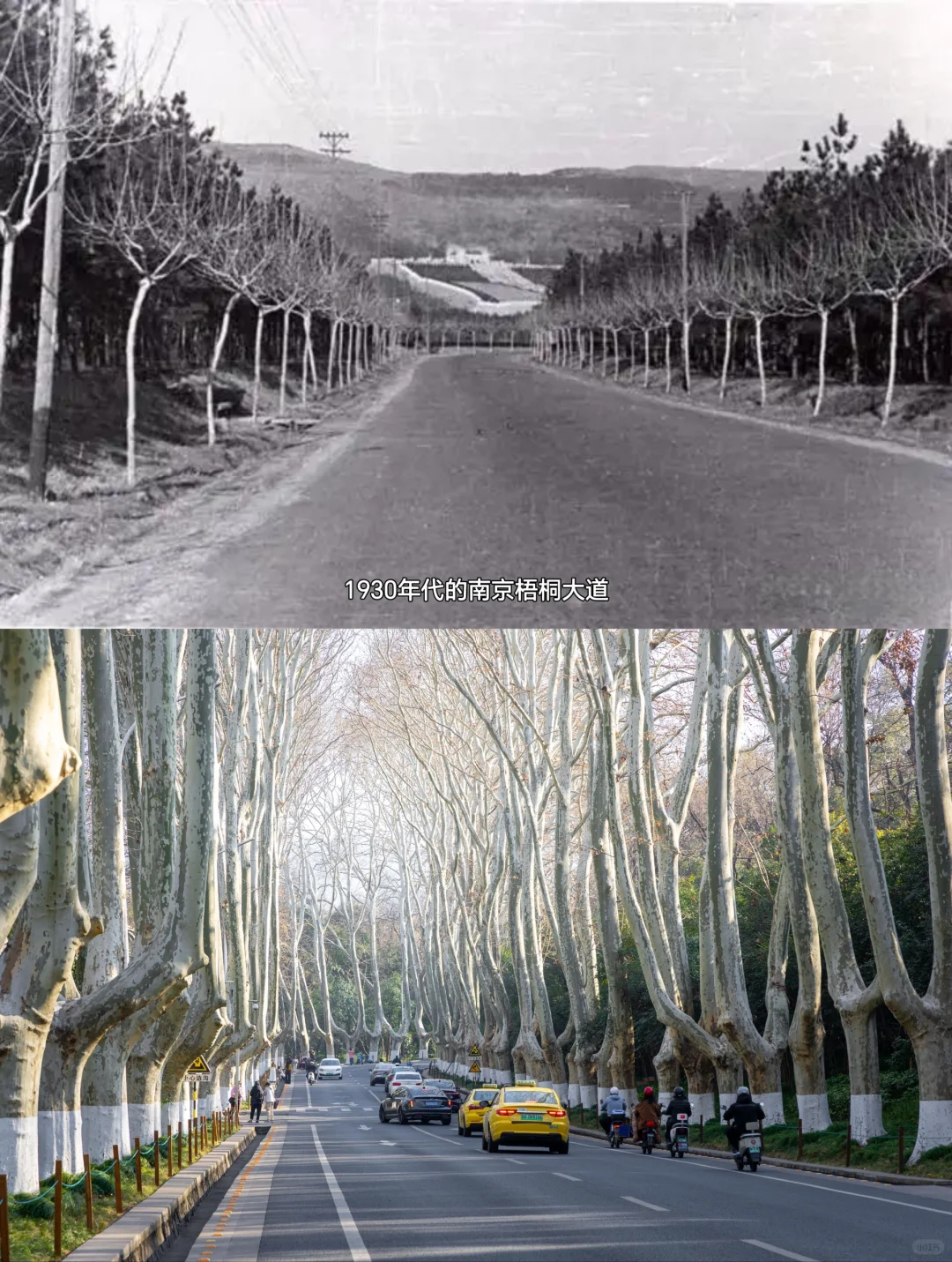 先生，南京城上空再也没有飞机炮弹了