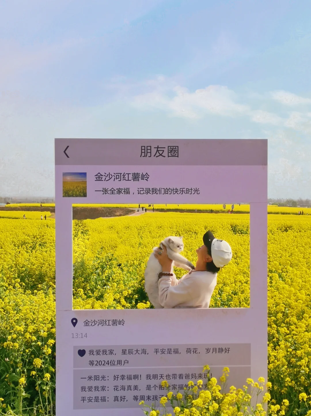 邯郸周边游：金沙河红薯岭万亩油菜花