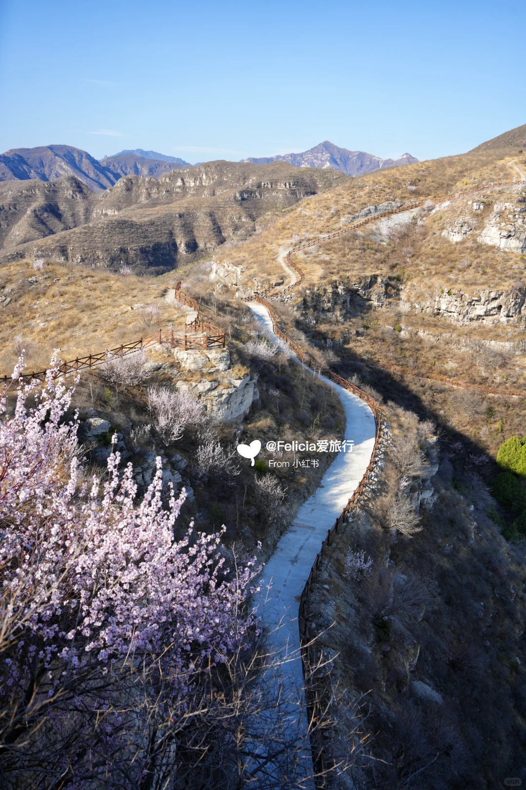 北京中山寺 | 山寺桃花始盛开🌸徒步赏花💯