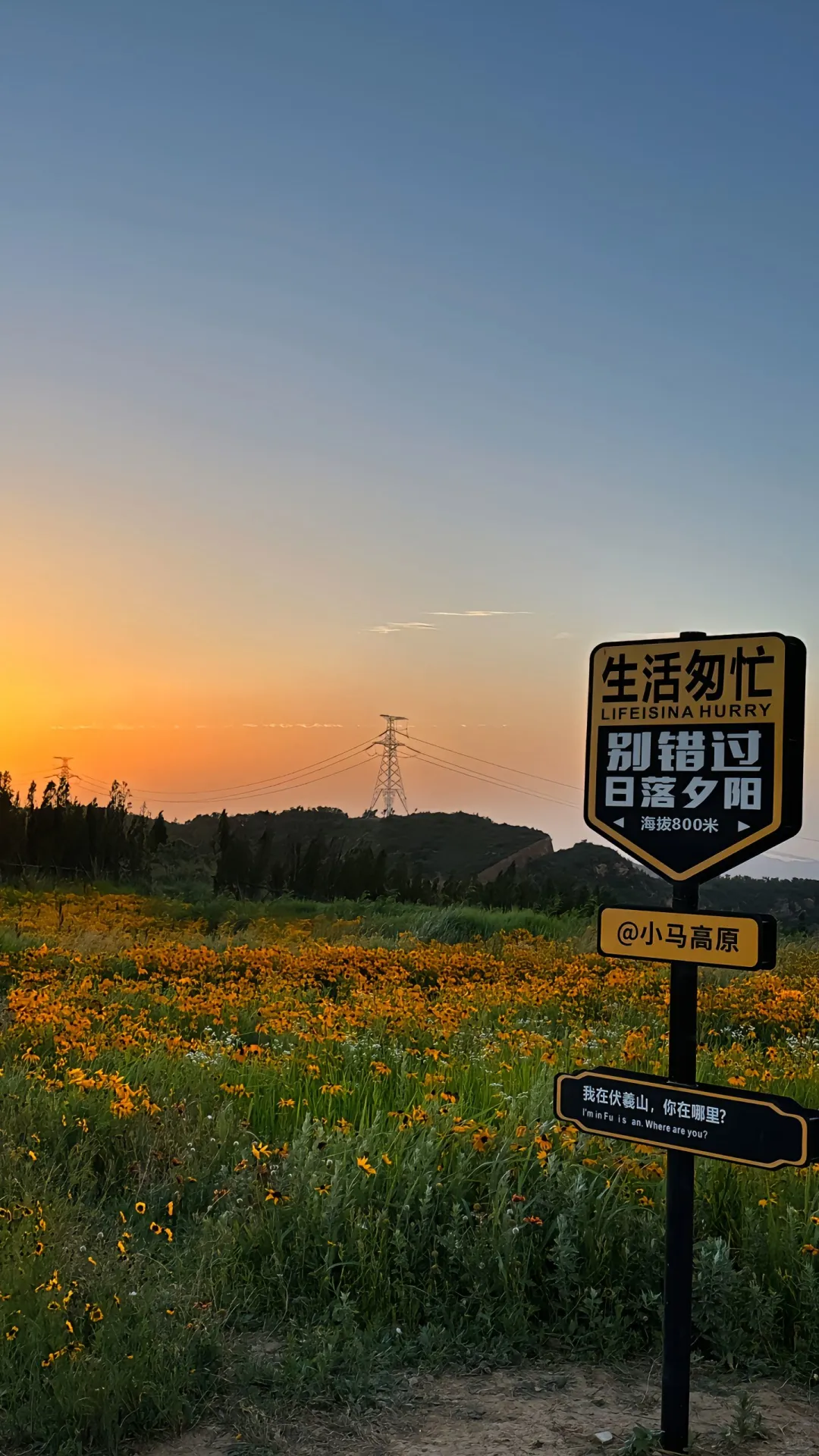 伏羲山一日游避坑指南✨