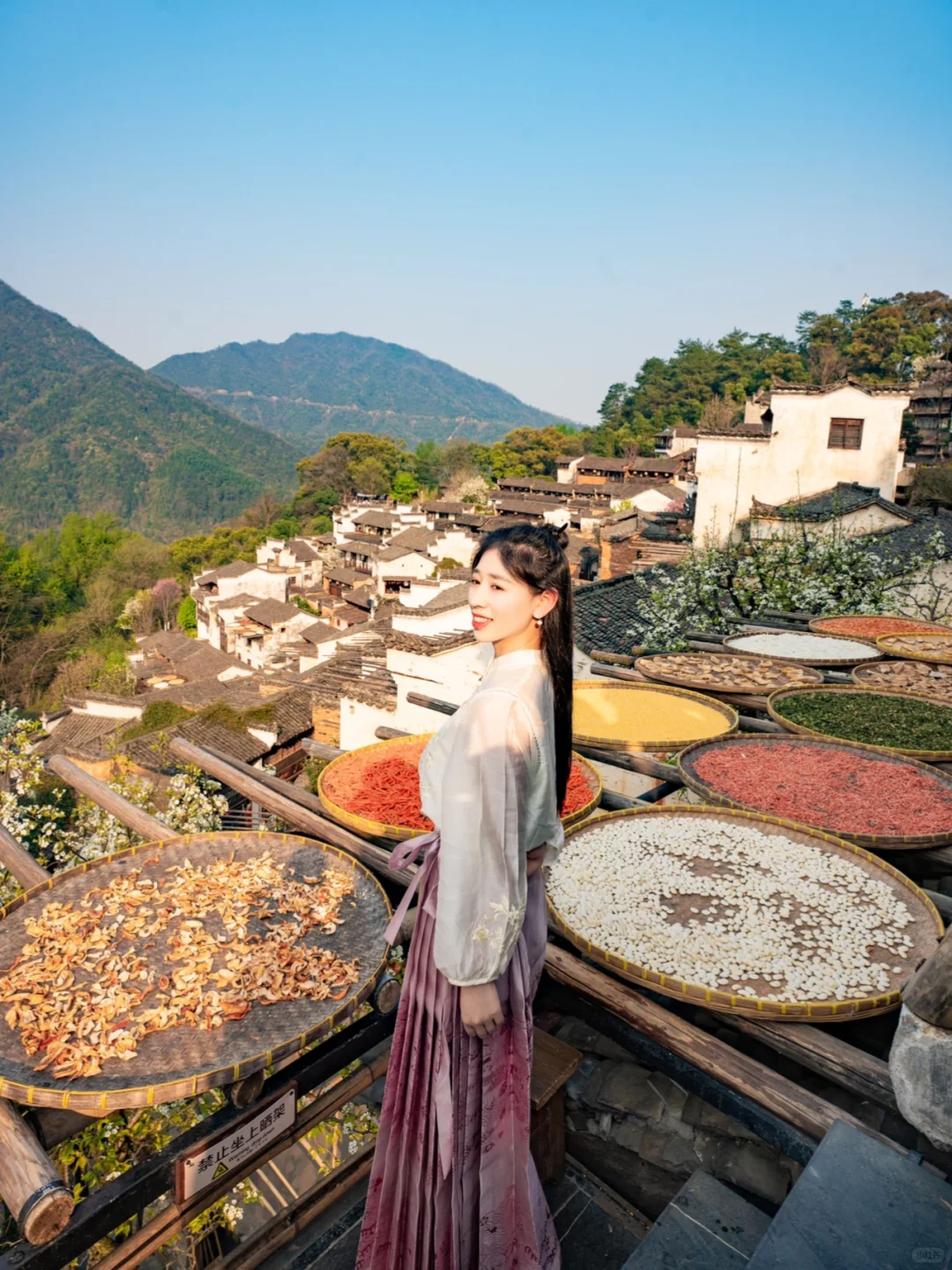 接下来的婺源篁岭🌼是漫山遍野的油菜花海‼️