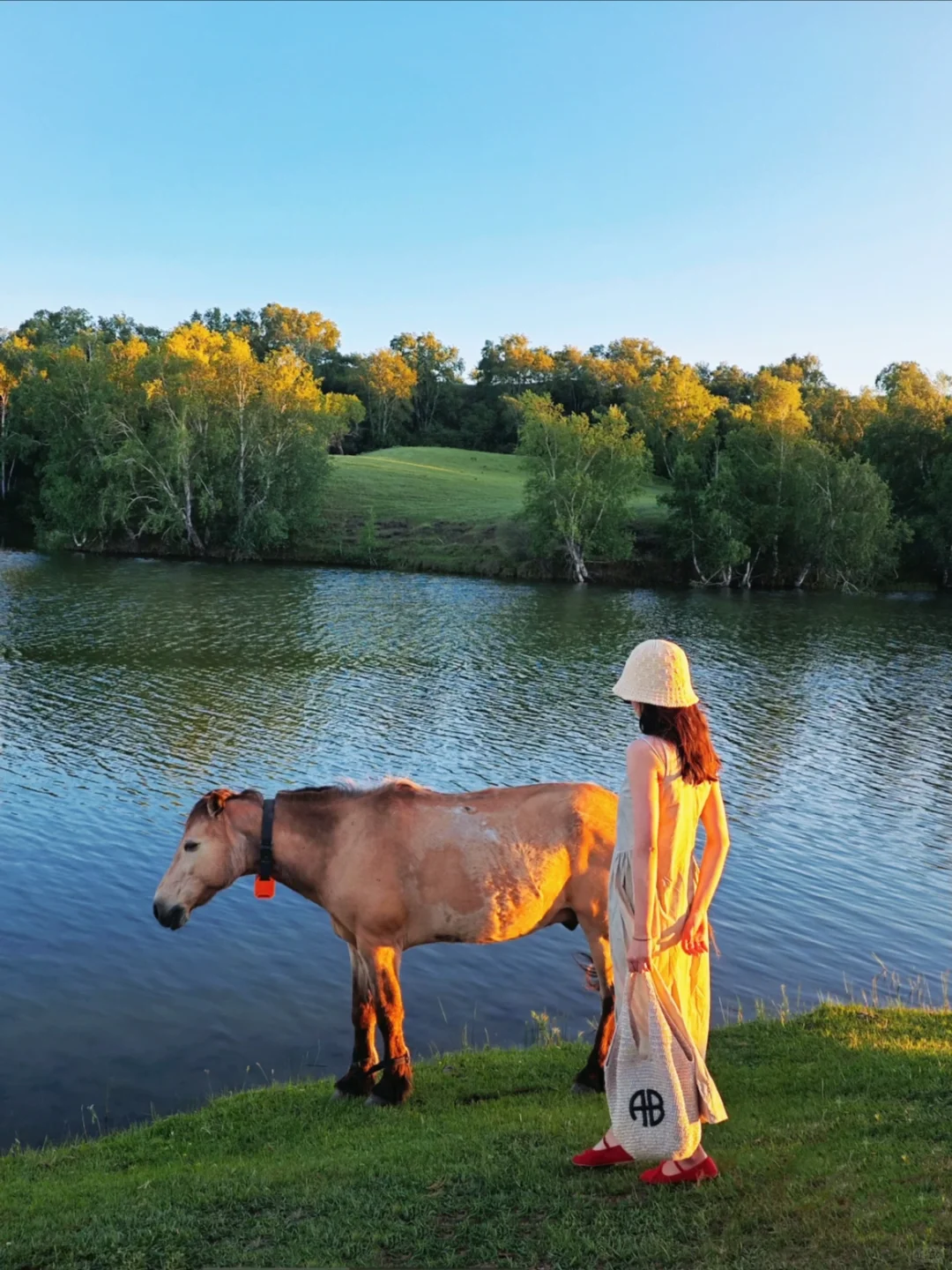 在乌兰布统的夏天，像是做了一场自由的梦～💙