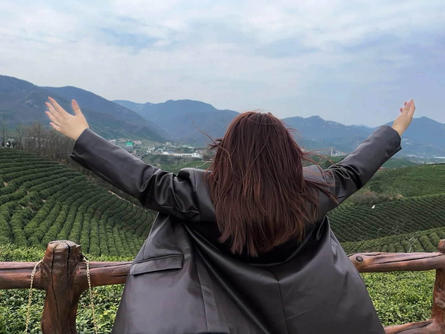 来文新茶村 看中国茶海🍃