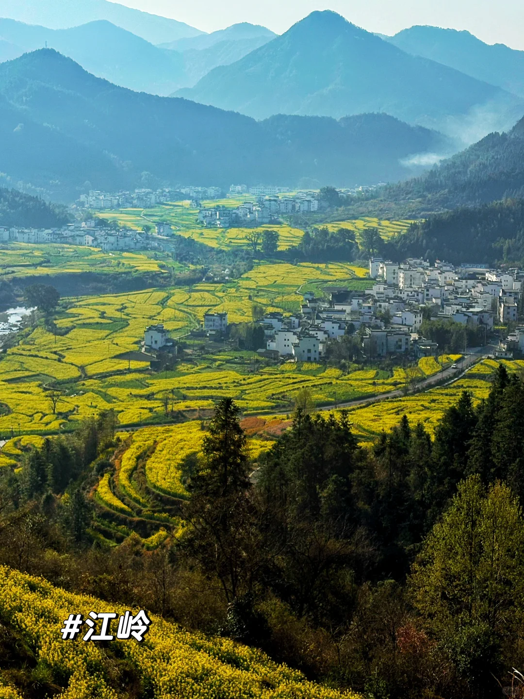 一日看尽婺源花:油菜花海骑游全攻略