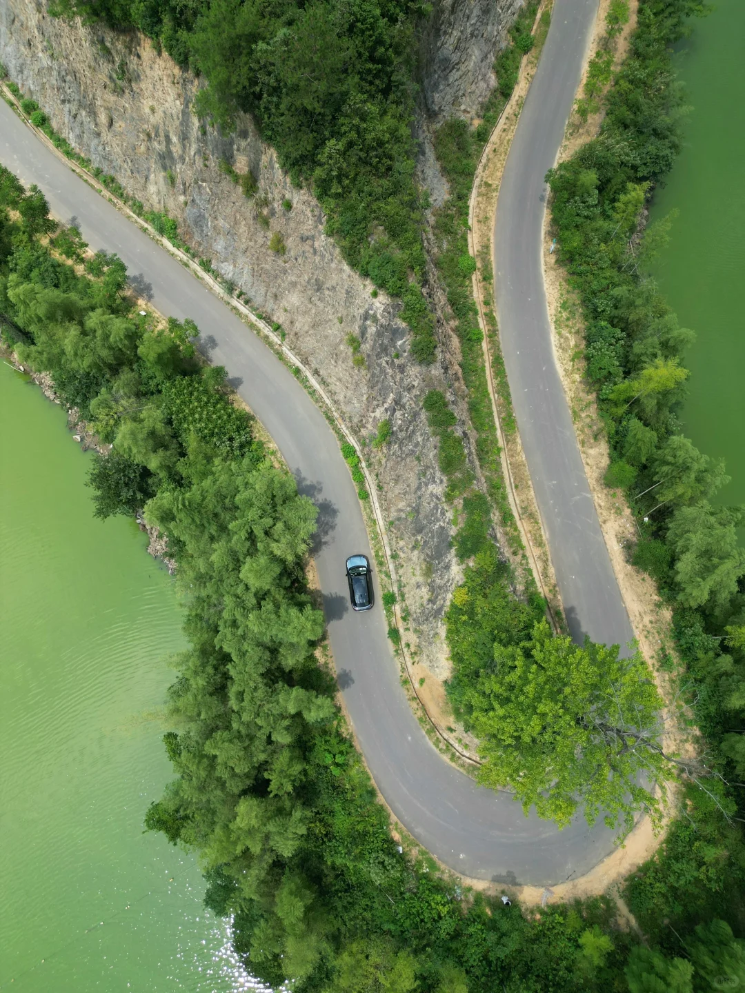 “西湖太拥挤，我选择退隐安吉上春山”🌿