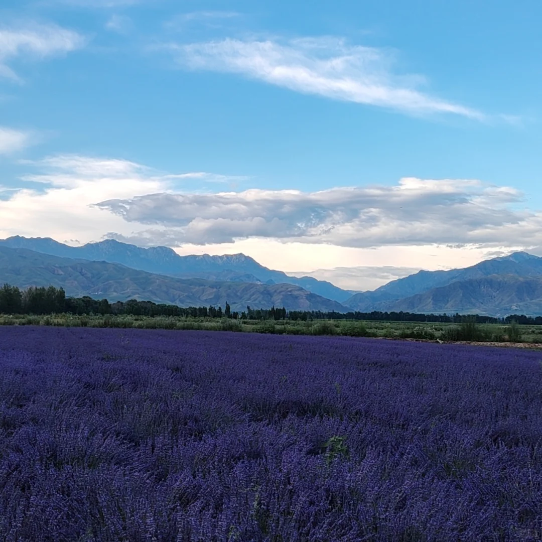 新疆包车，真诚靠谱