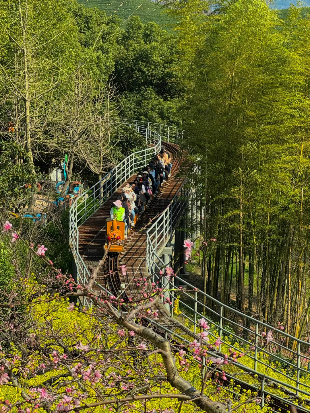 可惜你不来湖州，不知道满坡的花海有多美🌼