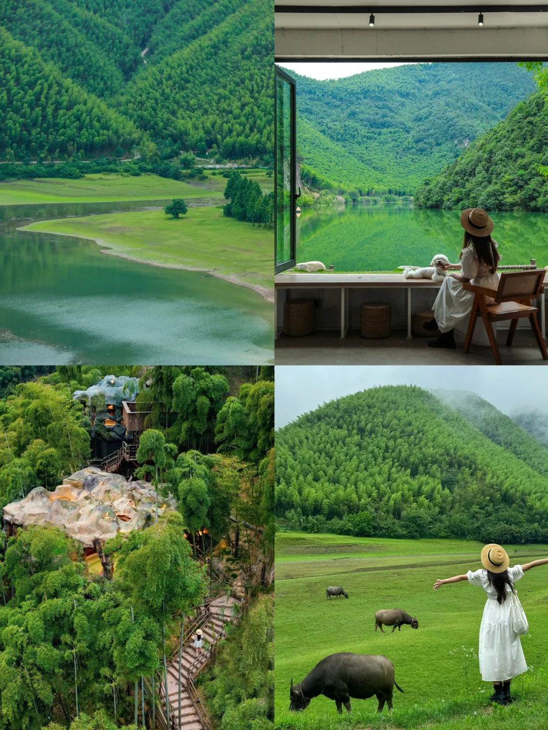 “西湖太拥挤，我选择退隐安吉上春山”🌿