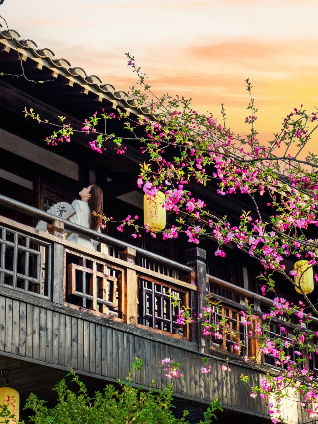 今年为止，我最喜欢的中式赏春小镇出现了‼️