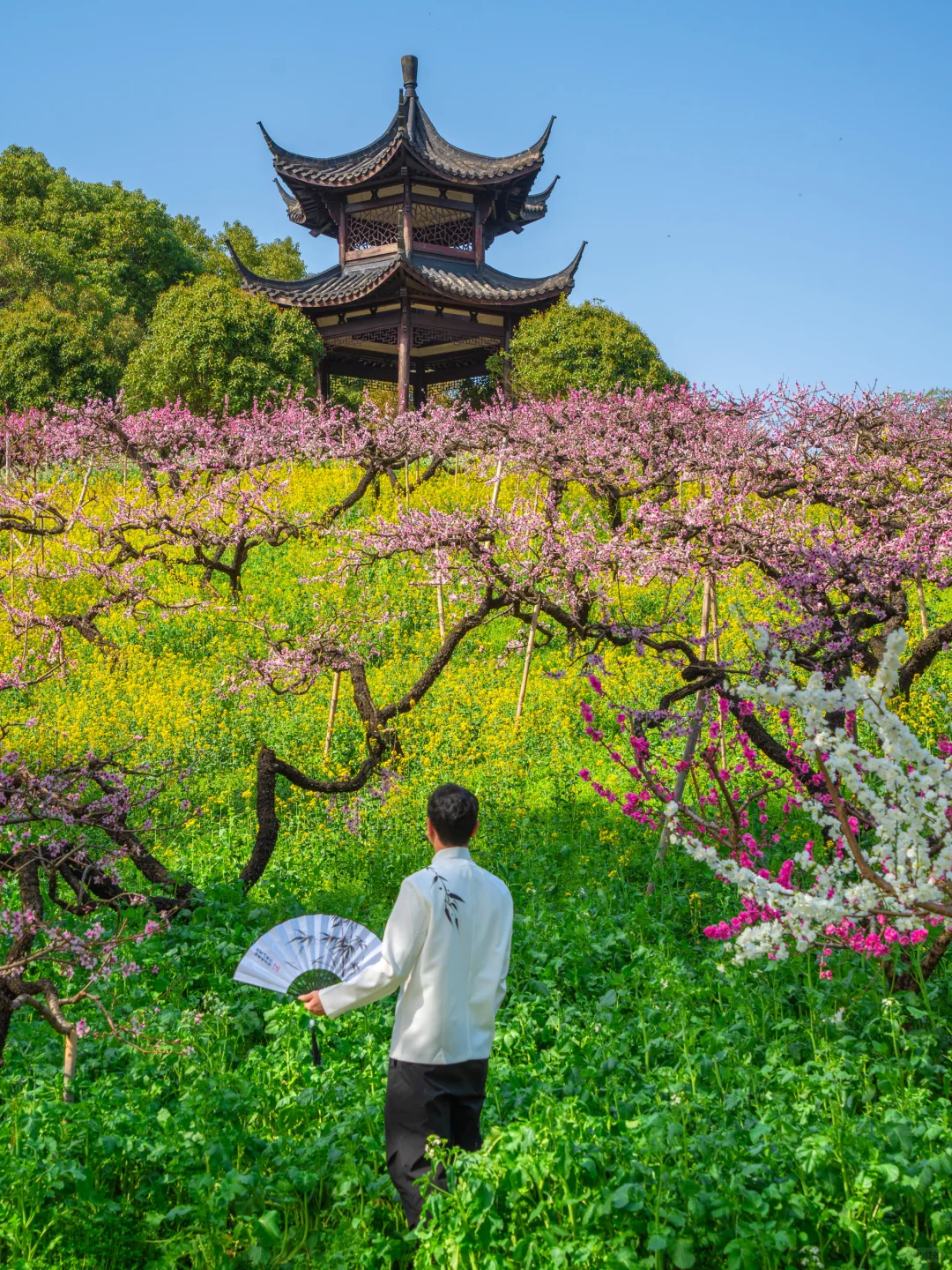 在小红书跟风最成功的一次‼️湖州小众花海
