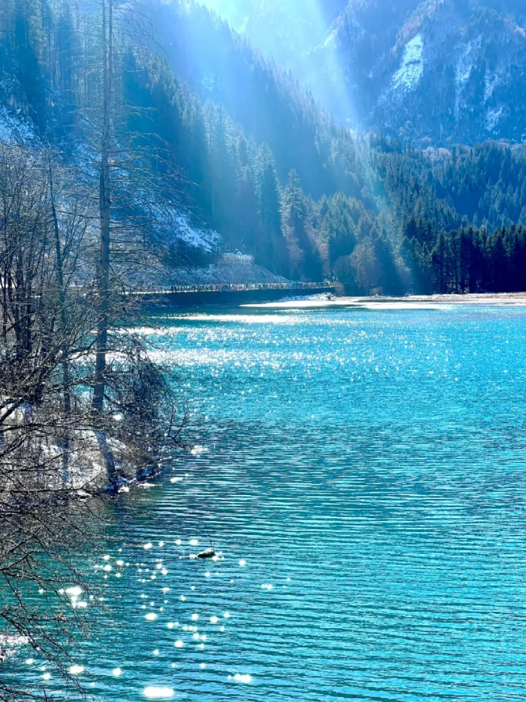 3.28📍淡季九寨沟已回，附游玩时间线