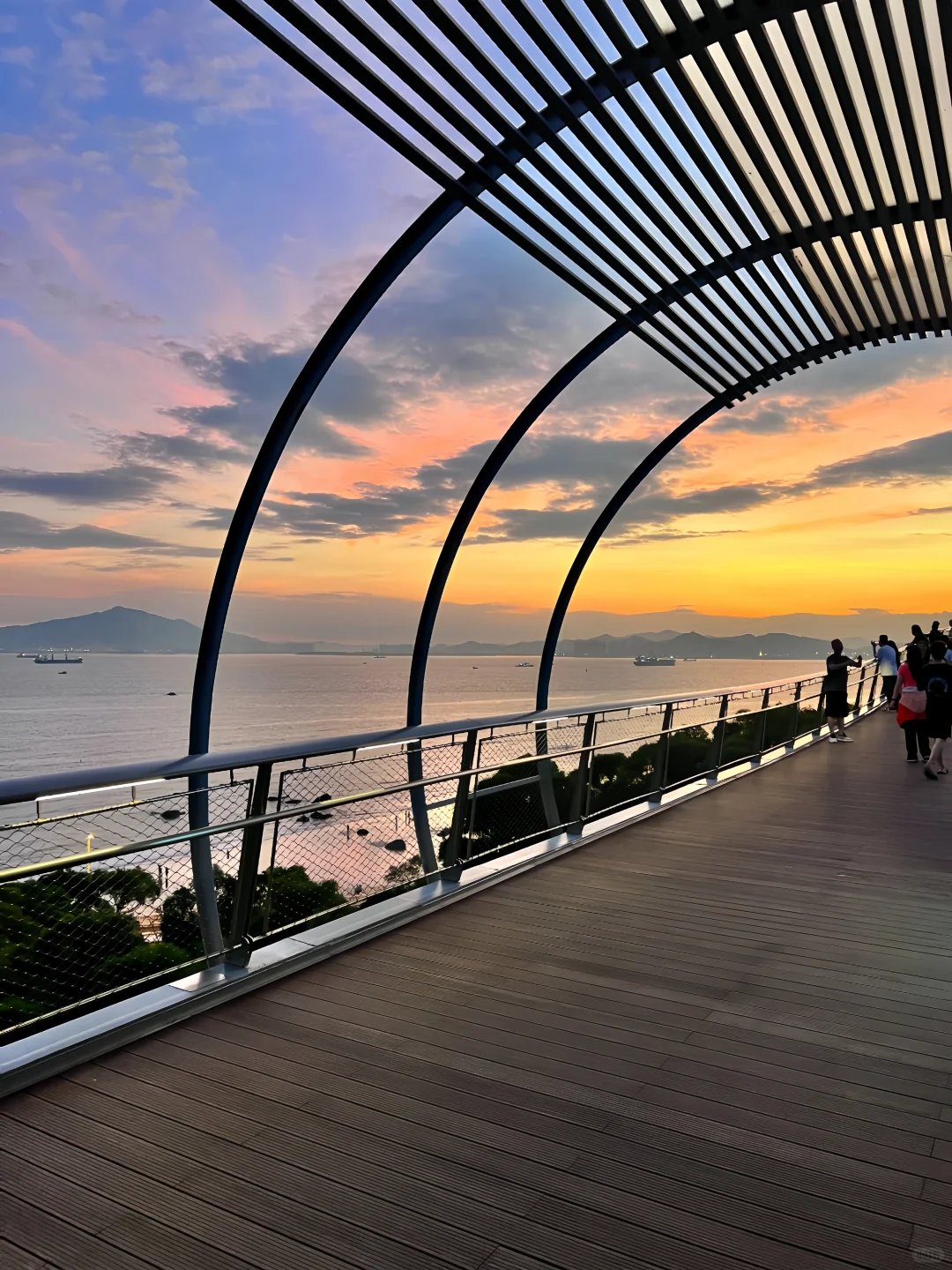 厦门｜用10张照片告诉你冬天的厦门有多美🥹