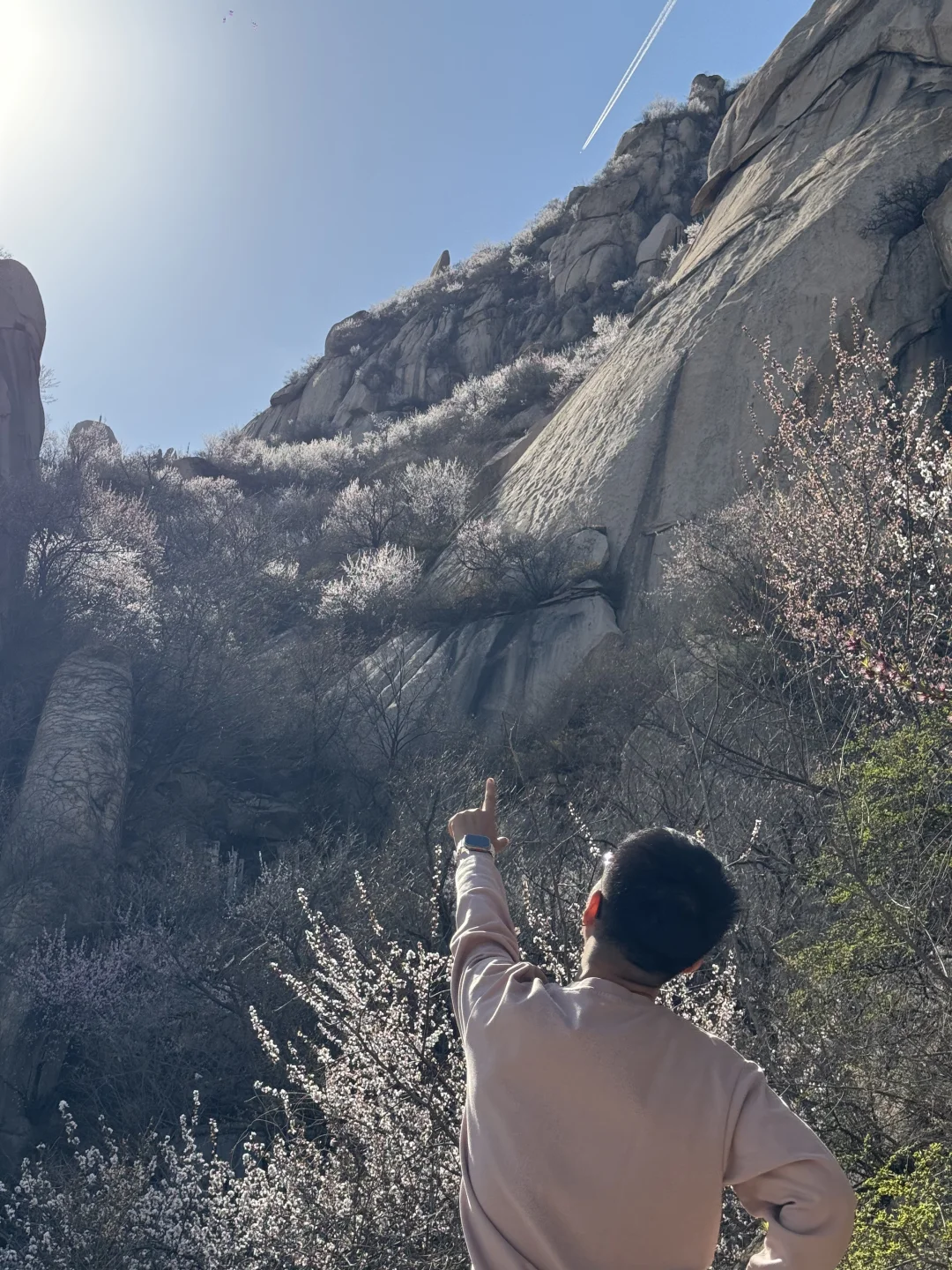 真正的春光敢于无滤镜直出live photo