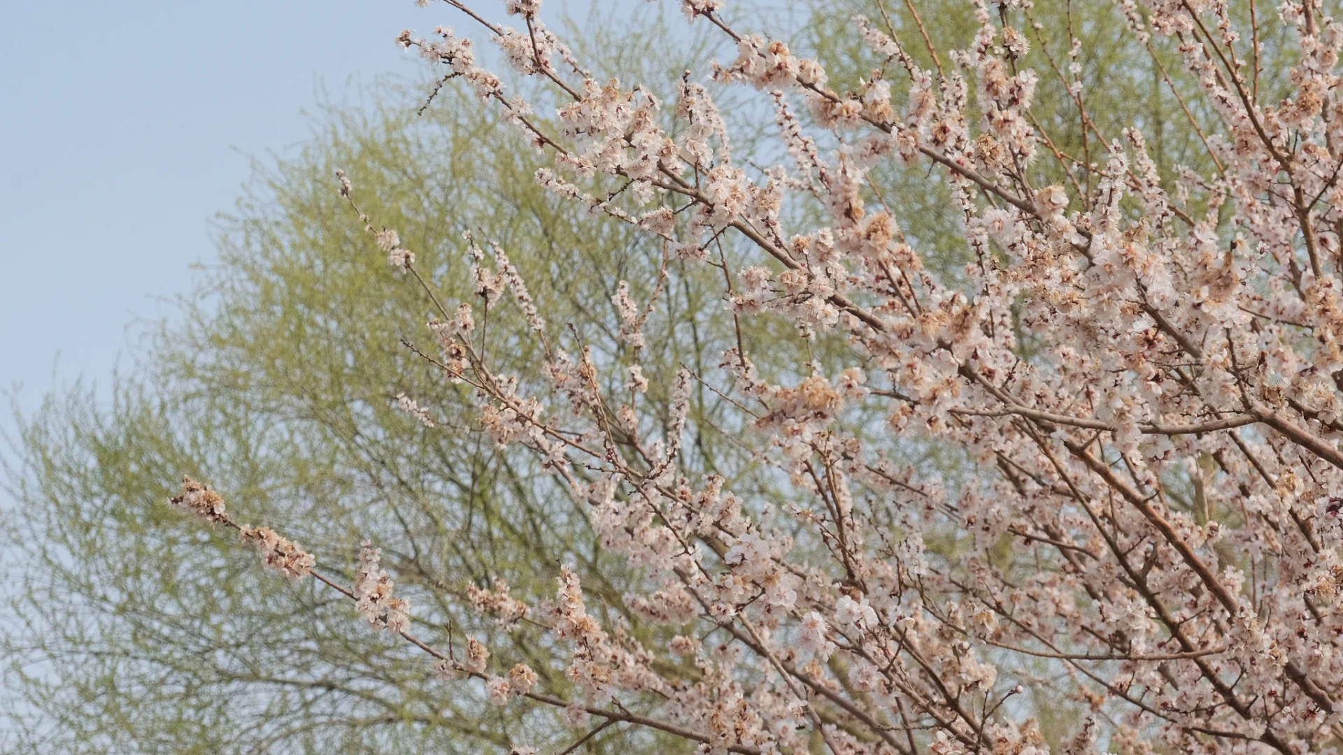 吐鲁番一日游实用攻略