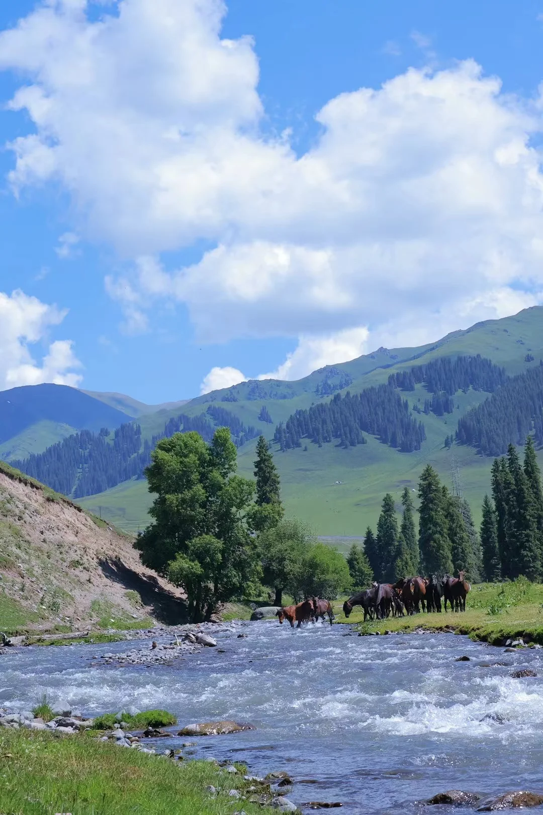 新疆包车，真诚靠谱