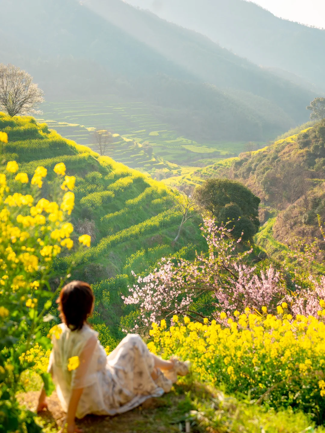 Live实况‼篁岭的春天美到封神！没有平替