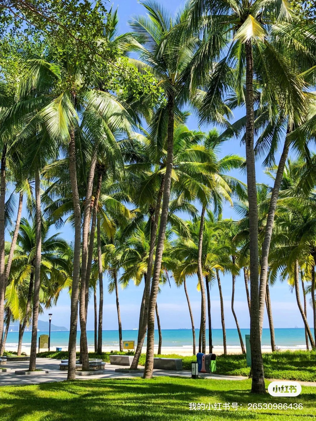 由于不预约在三亚沙滩待了五个小时😭