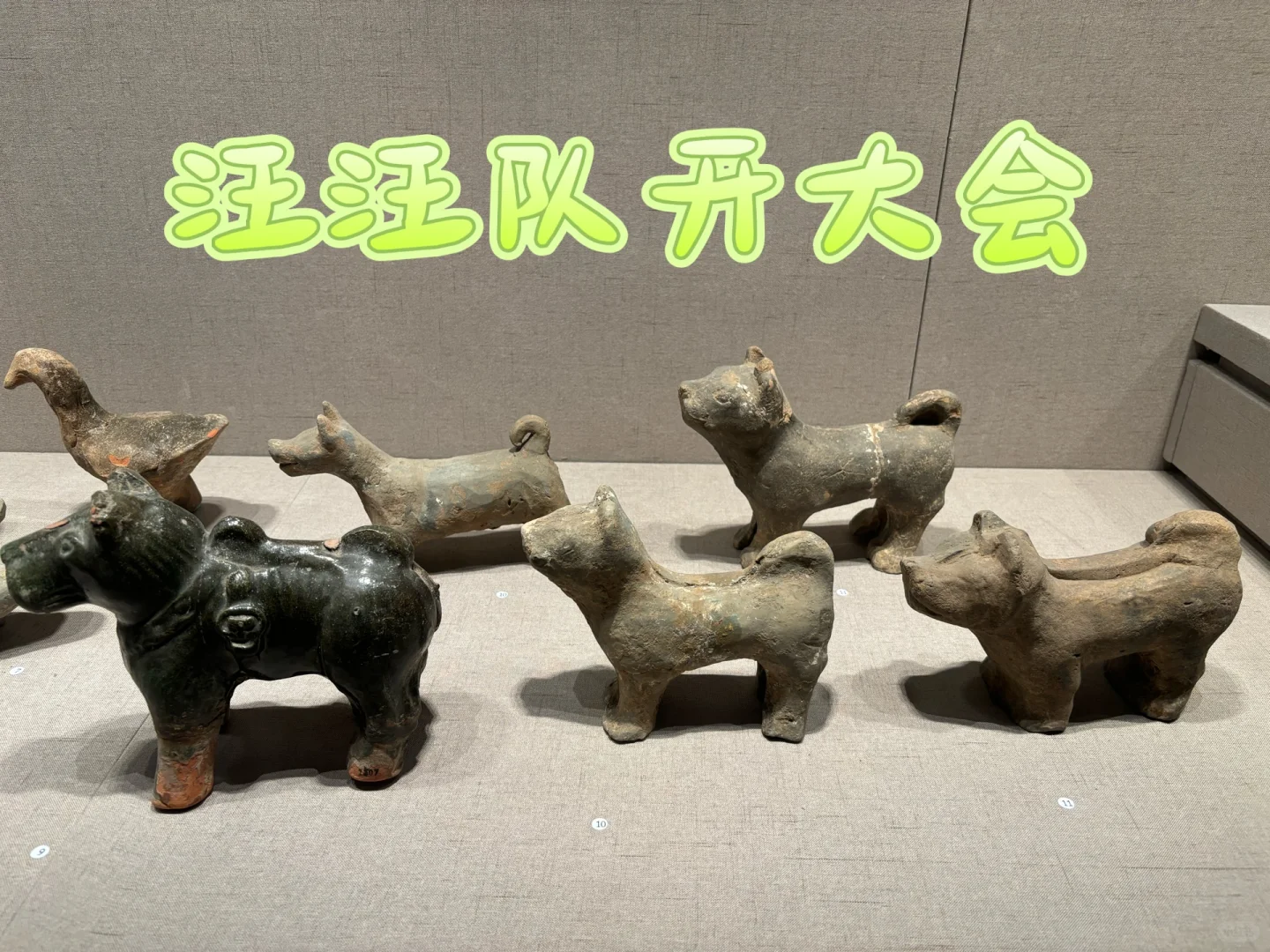 博物馆的奇奇怪怪～～～🤩