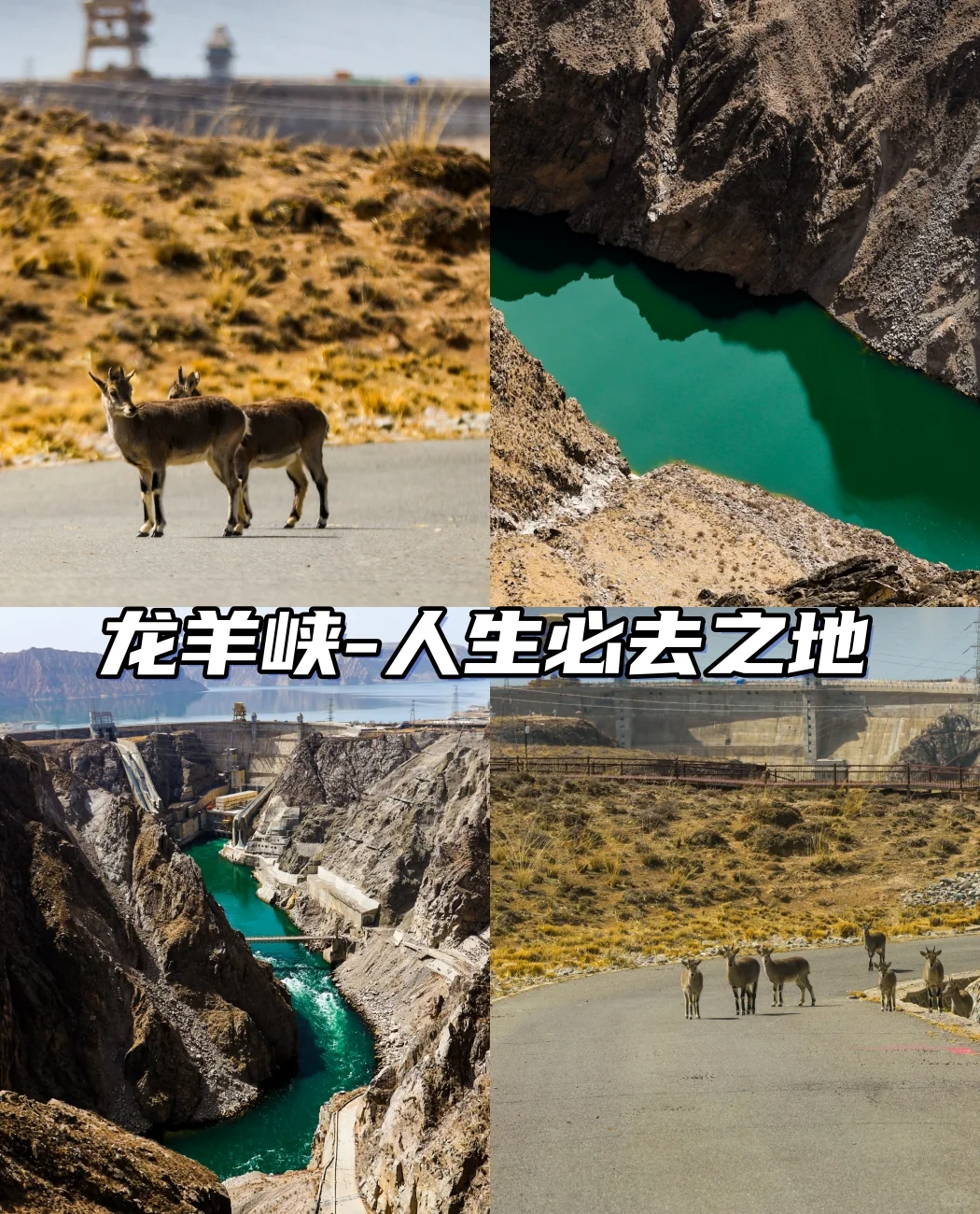 淡季的龙羊峡真的是人生必去之地。。。