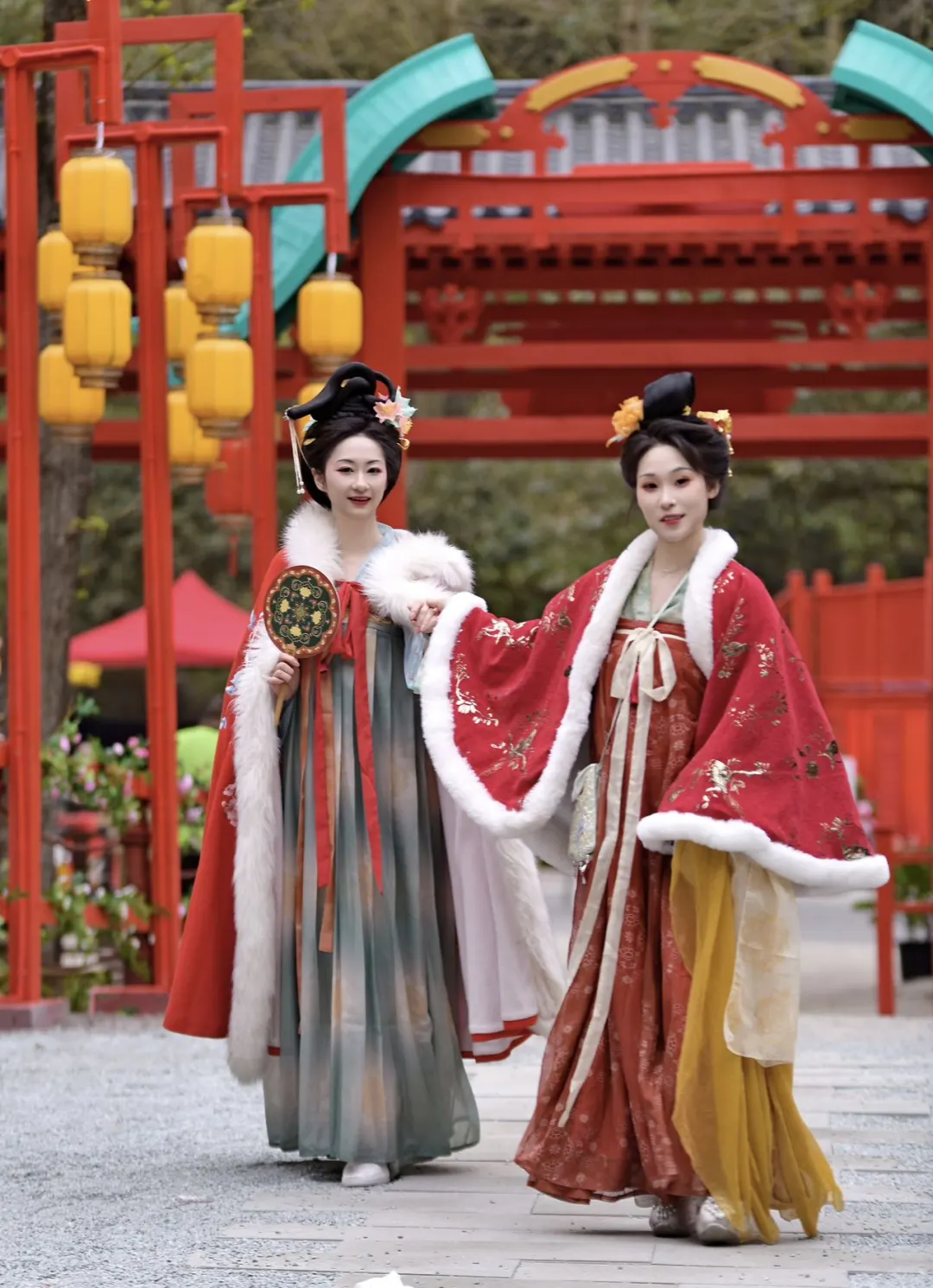 天彭牡丹花，穿越到了国色芳华里的场景！