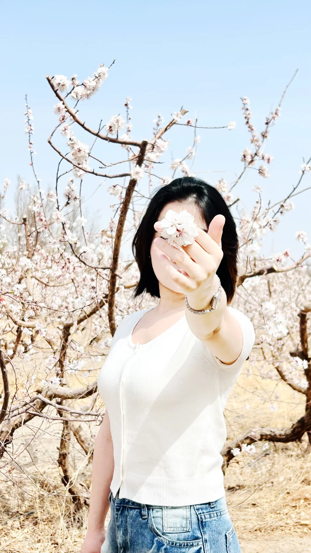 吐鲁番一日游🎋