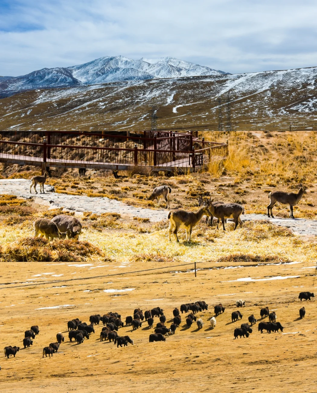 淡季的龙羊峡真的是人生必去之地。。。