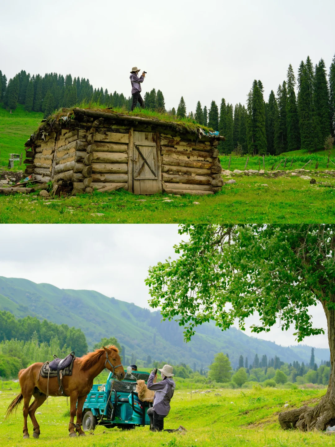 计划5~6月去新疆，这些你不能不知道的内幕~