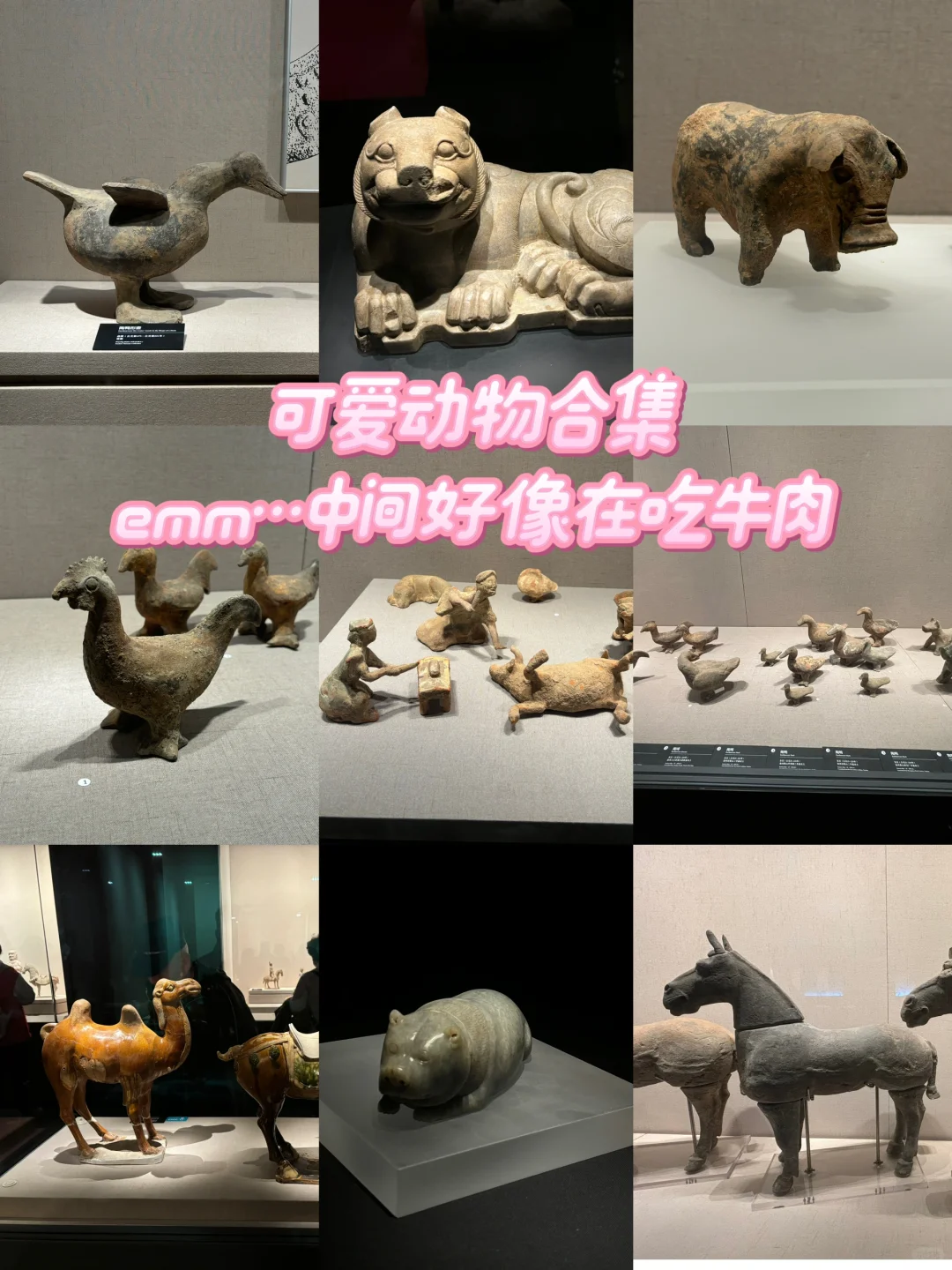 博物馆的奇奇怪怪～～～🤩