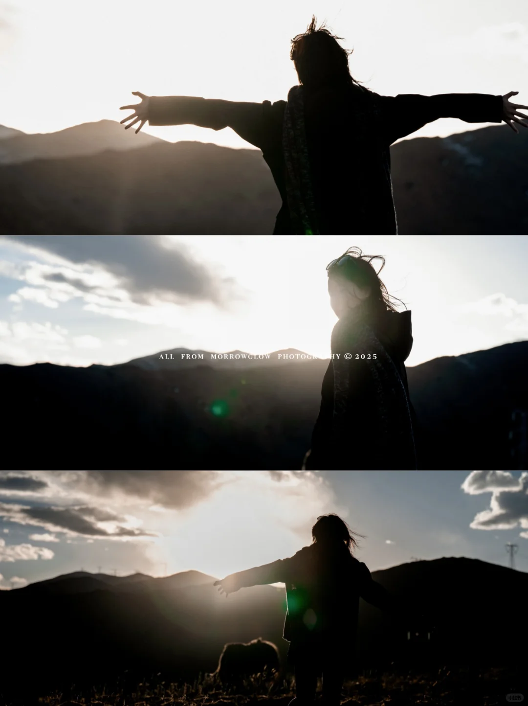 不挤鱼子西，这个免费小众观景台更出片