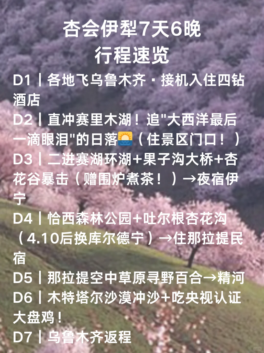 🌟【伊犁杏花7日】人均2680起！