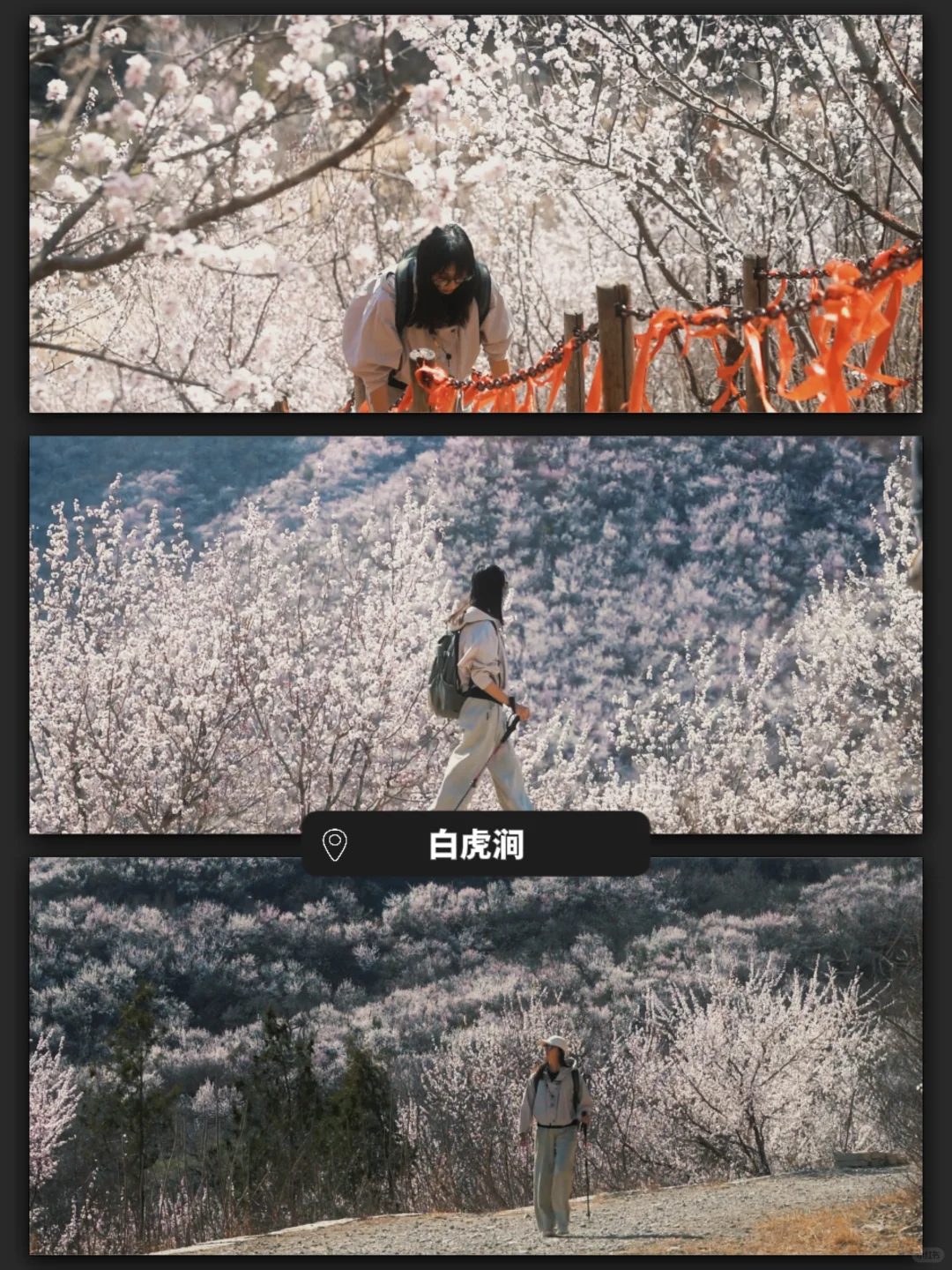 【三月碎记】--白虎涧，解锁“桃花山”