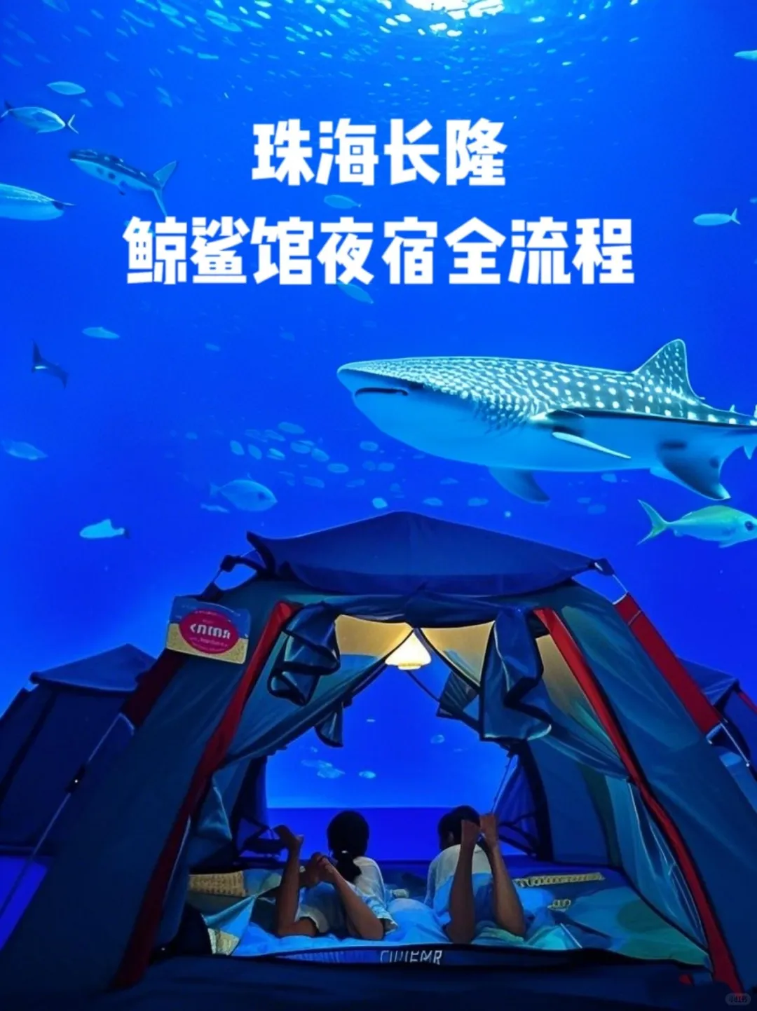 真实体验！珠海长隆鲸鲨馆夜宿全攻略🌊