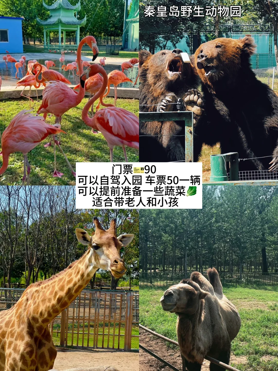 秦皇岛旅游的保姆级攻略来喽