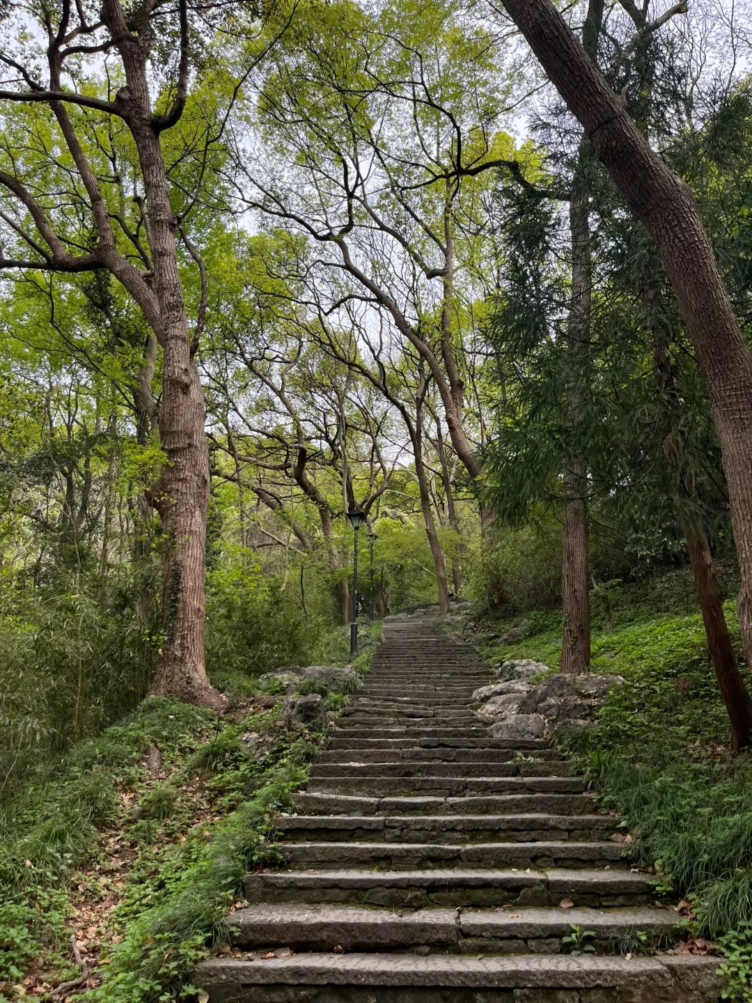 上个春山⛰️杭州玉皇山