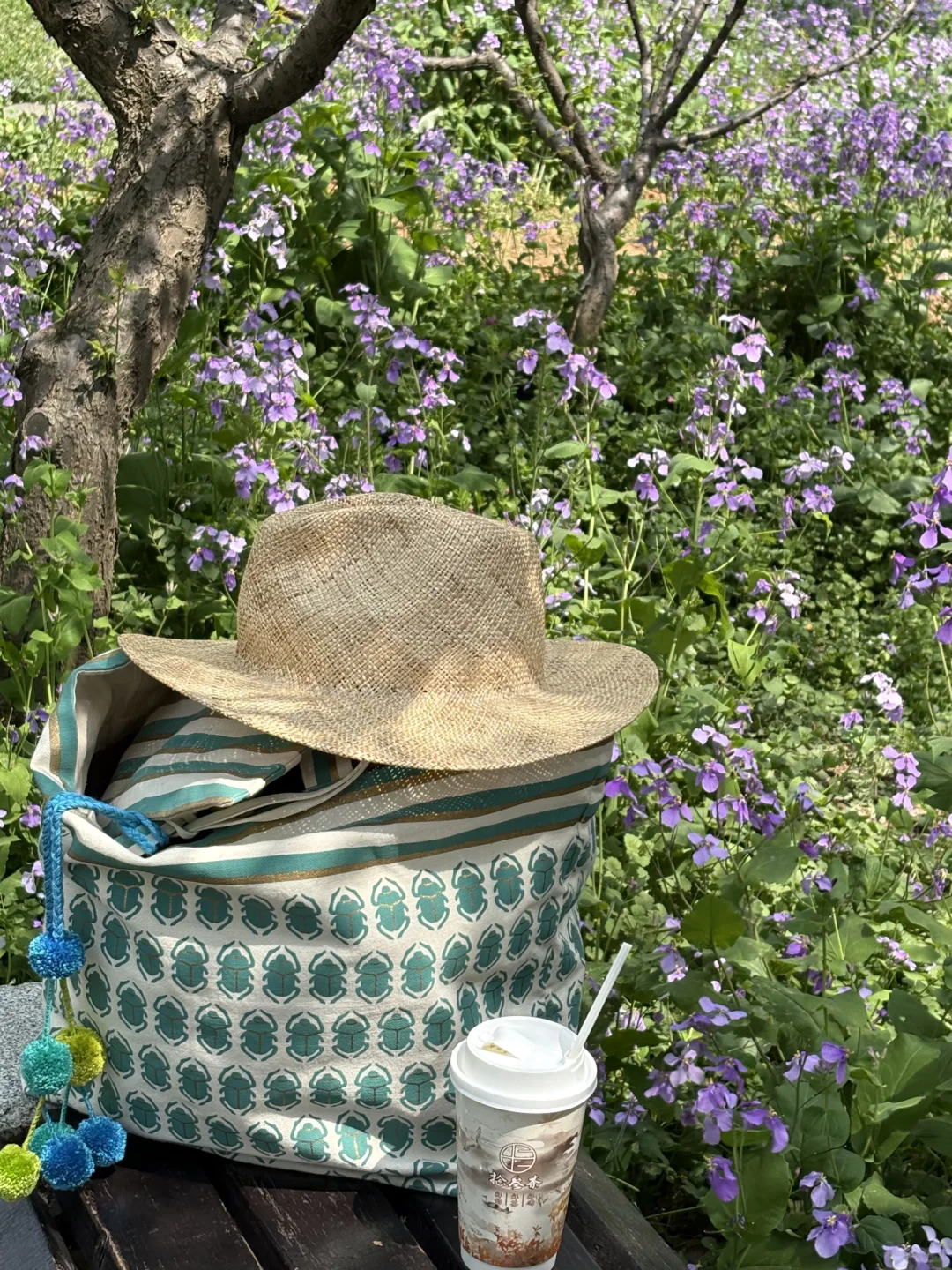 南京的四月木绣球和好天气