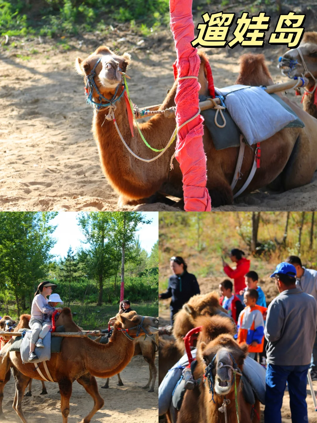 清明假期|萨拉乌苏旅游区~必备攻略!