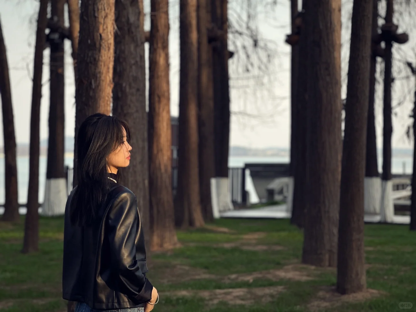 听涛景区｜谁又幸福了！