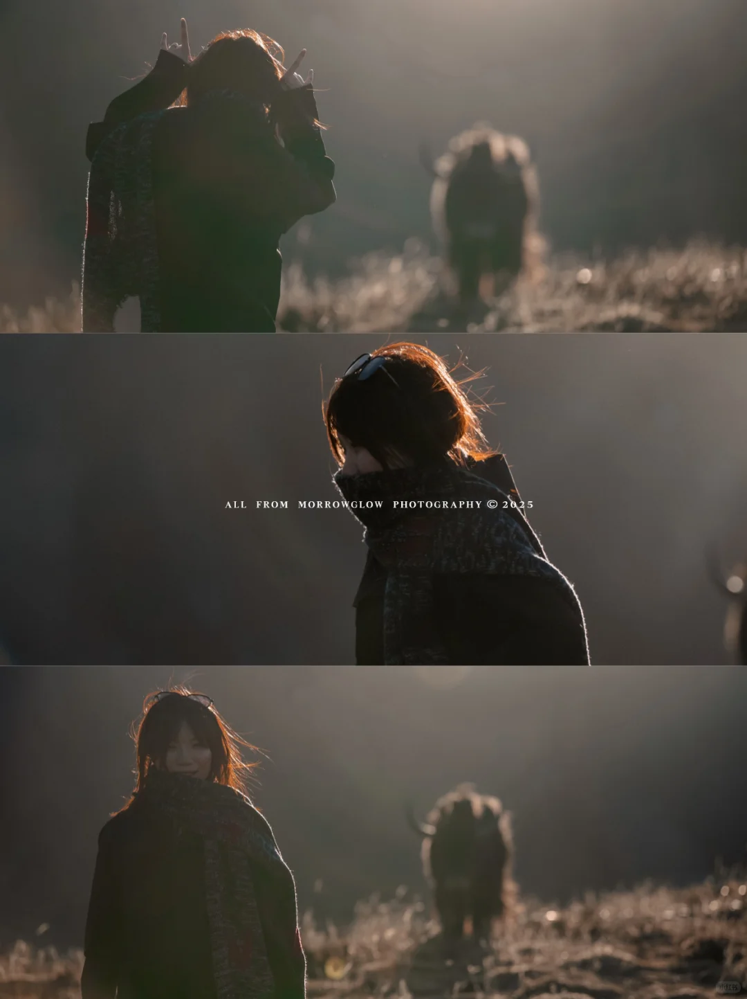 不挤鱼子西，这个免费小众观景台更出片