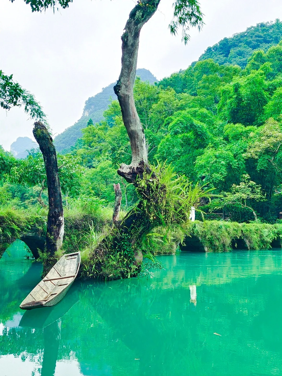 三刷荔波，住宿我只推荐景区内！556俩人