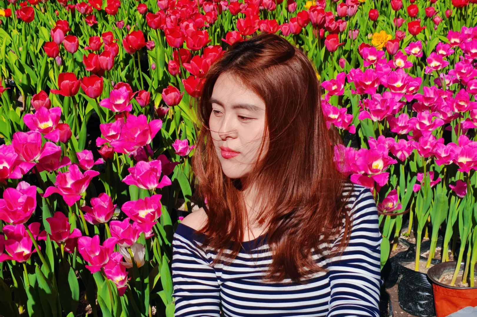 妈妈，我向往的自由，我被宝泉美哭‼️