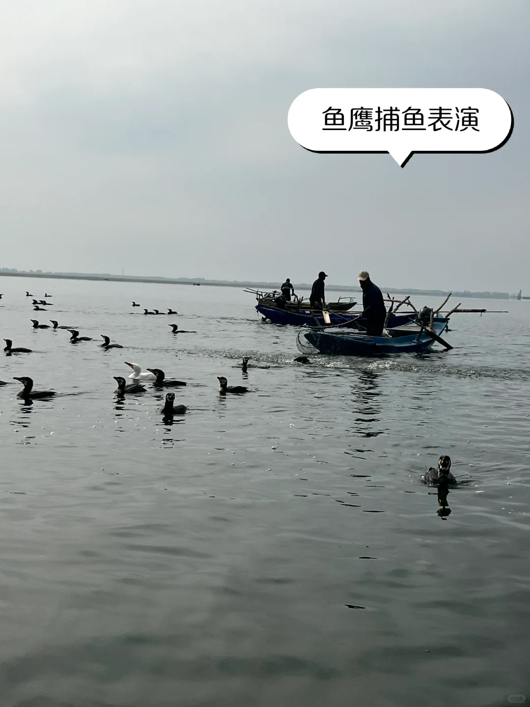 第一次来白洋淀🌅夕阳美景尽收眼底~美翻啦