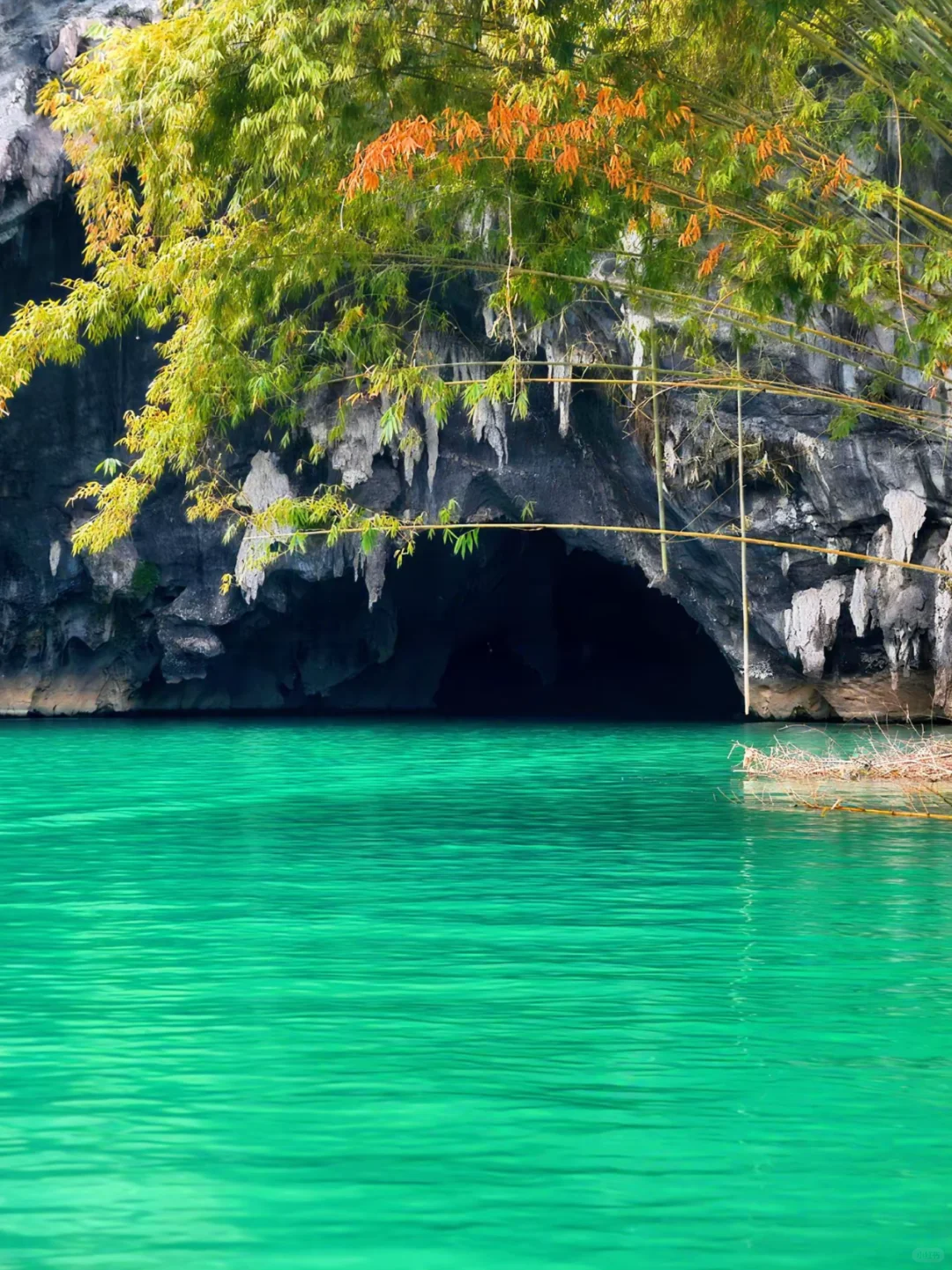 📌世界长寿之乡｜广西巴马村最全攻略！