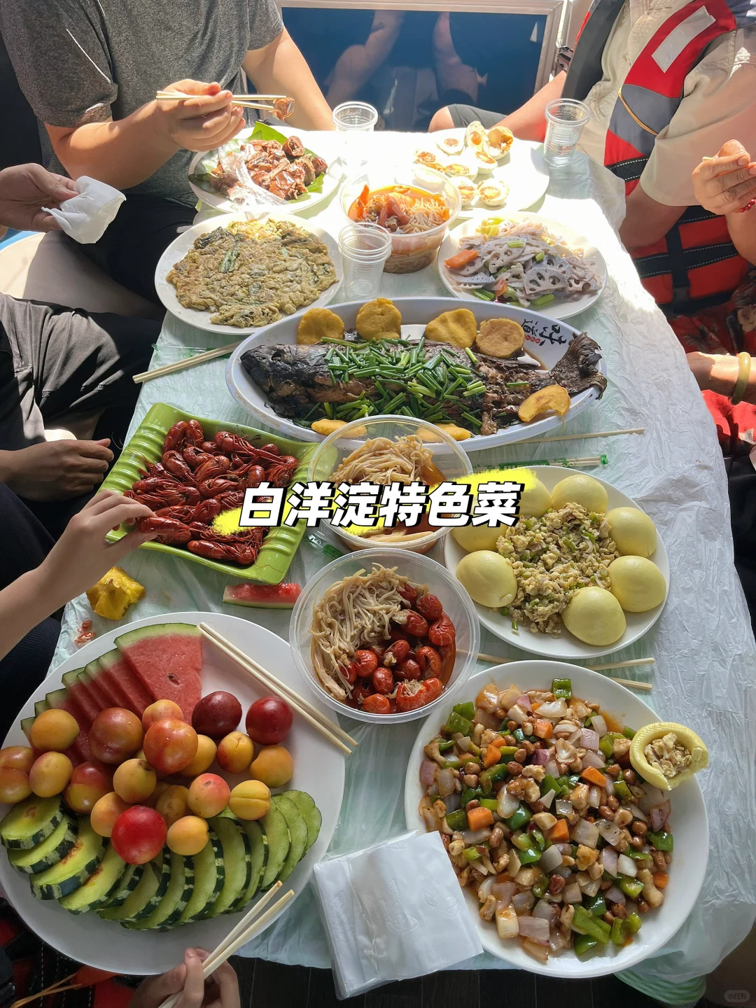 第一次来白洋淀🌅夕阳美景尽收眼底~美翻啦