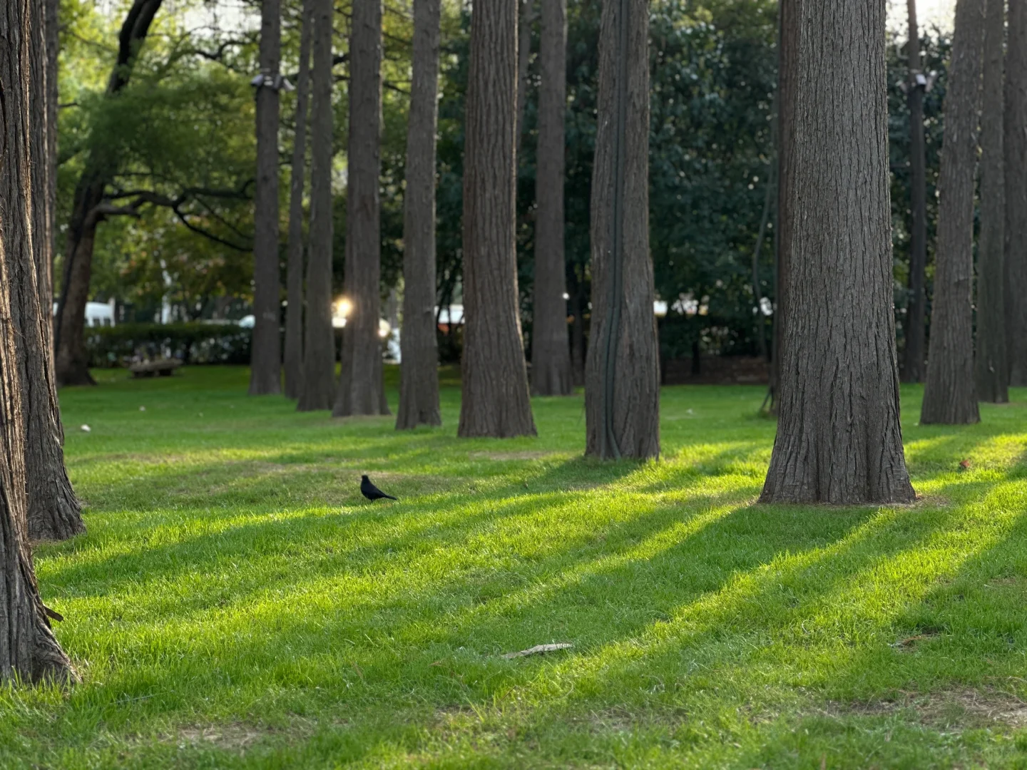 听涛景区｜谁又幸福了！